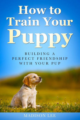 How To Train Your Puppy: Building A Perfect Friendship With Your Pup