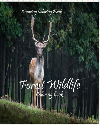 Forest Wildlife: Fun, Easy, Coloring book with cute animals