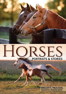 Horses: Portraits & Stories