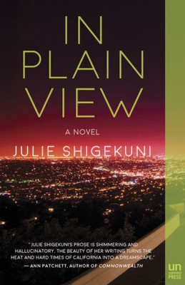 In Plain View: A Novel