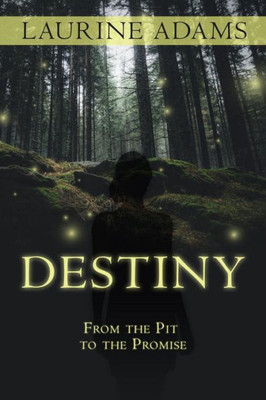 Destiny: From the Pit to the Promise