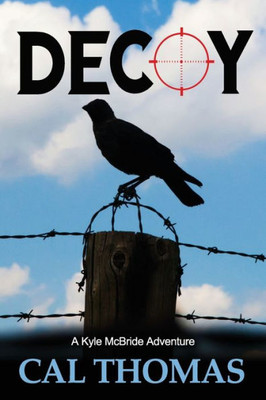 Decoy: A Kyle McBride Adventure (Kyle McBride Mystery)