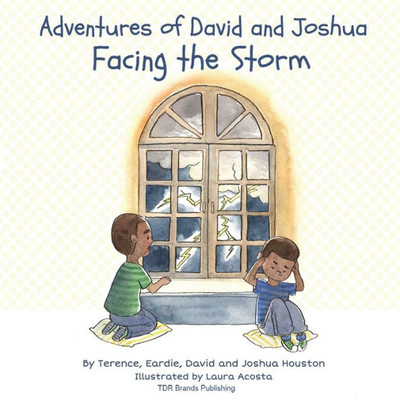 Facing the Storm (Adventures of David and Joshua)
