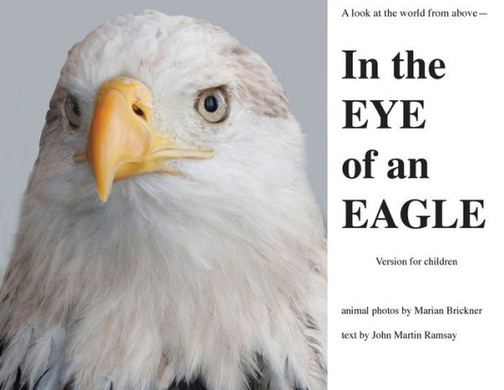 In the Eye of an Eagle: A look at the world from above.