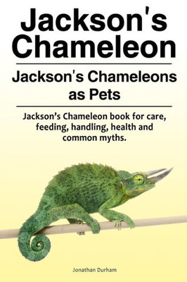 Jacksons Chameleon. Jacksons Chameleons as Pets. Jacksons Chameleon book for care, feeding, handling, health and common myths.