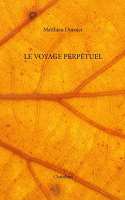 Le voyage perpétuel (French Edition)