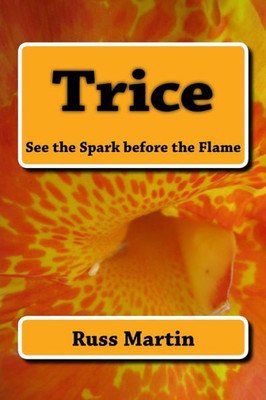 Trice : See The Spark Before The Flame