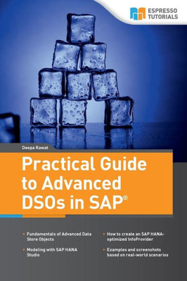 Practical Guide To Advanced Dsos In Sap