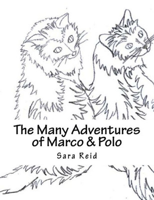 Marco And Polo : The Marvels Of Their World