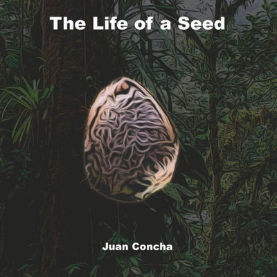 The Life Of A Seed