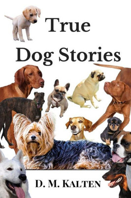 True Dog Stories : Short Stories From Days Gone By