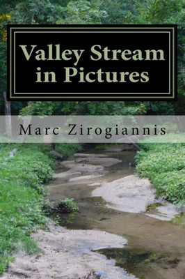 Valley Stream In Pictures : Summer Edition