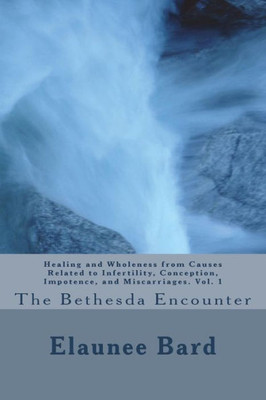 The Bethesda Encounter: Healing And Wholeness From Causes Related To Infertility, Conception, Impotence, And Miscarriages. Vol. 1 : The Bethesda Encounter
