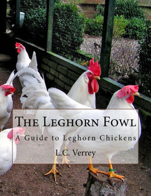 The Leghorn Fowl : A Guide To Leghorn Chickens