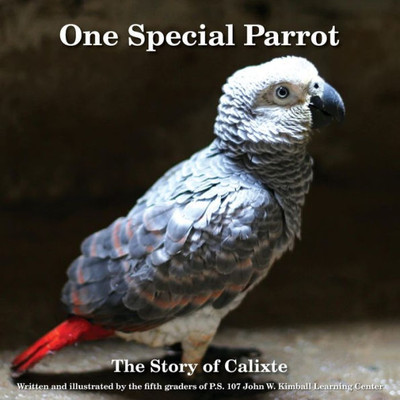 One Special Parrot : The Story Of Calixte