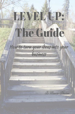 Level Up! The Guide : How To Turn Your Ideas Into Your Business!