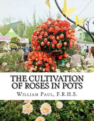 The Cultivation Of Roses In Pots : Or; Growing Roses In Containers