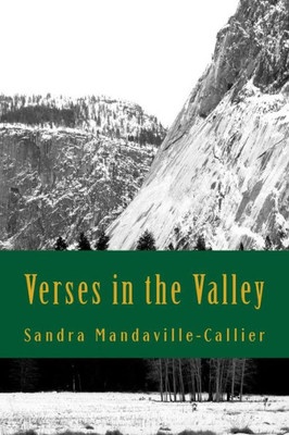 Verses In The Valley : Poems And Prayers For Pursuing Your Purpose