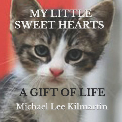 My Little Sweethearts Adventures : Volume One