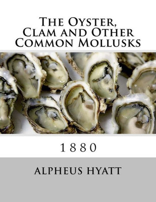 The Oyster, Clam And Other Common Mollusks