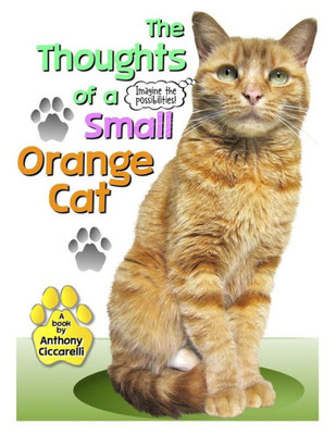 The Thoughts Of A Small Orange Cat