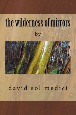 The Wilderness Of Mirrors : Na