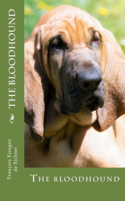 The Bloodhound