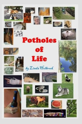 Potholes Of Life