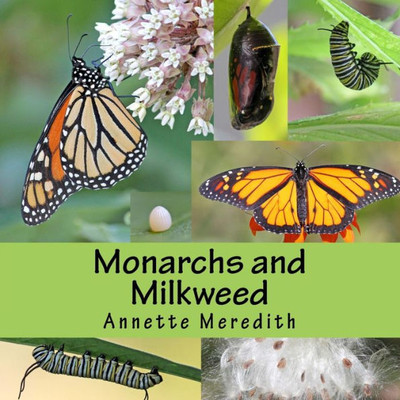 Monarchs And Milkweed