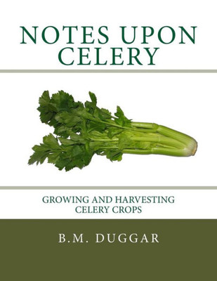Notes Upon Celery : Growing And Harvesting Celery Crops