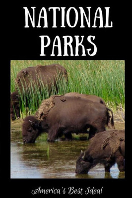 National Parks - America'S Best Idea : Buffalo Drinking At Yellowstone