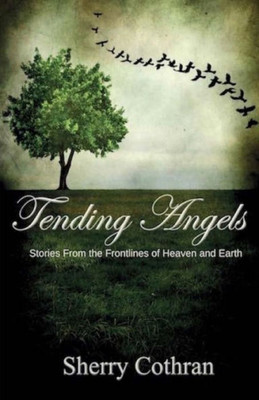 Tending Angels : Stories From The Frontlines Of Heaven And Earth