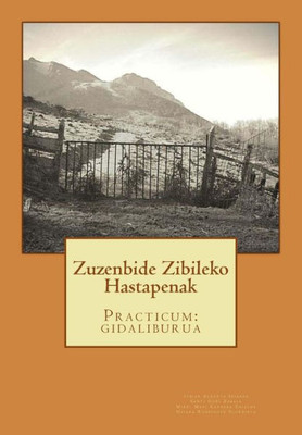 Zuzenbide Zibileko Hastapenak : Practicum: Gidaliburua