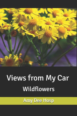 Views From My Car : Wildflowers