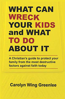 What Can Wreck Your Kids and What To Do About it: A Christian's guide to protect your family from the most destructive factors against faith today