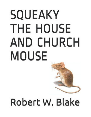 Squeaky The House And Church Mouse