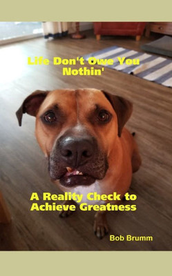 Life Don'T Owe You Nothin' : A Reality Check To Achieve Greatness