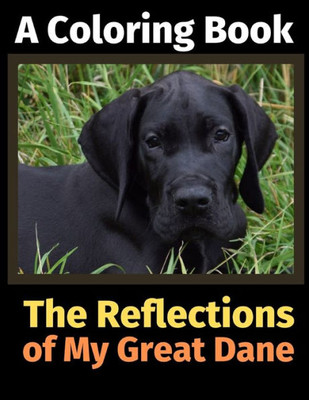 The Reflections Of My Great Dane : A Coloring Book