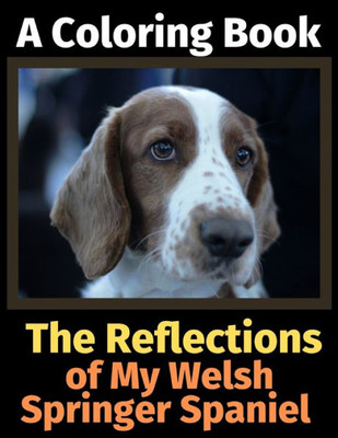 The Reflections Of My Welsh Springer Spaniel : A Coloring Book