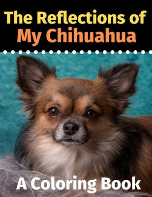 The Reflections Of My Chihuahua : A Coloring Book