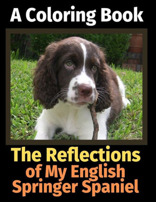 The Reflections Of My English Springer Spaniel : A Coloring Book