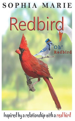 Redbird Oh Redbird : Inspired By A Relationship With A Real Bird