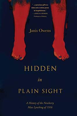 Hidden in Plain Sight: A History of the Newberry Mass Lynching of 1916 - Paperback