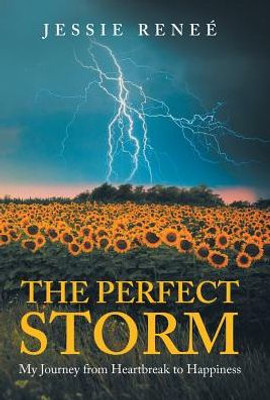 The Perfect Storm : My Journey From Heartbreak To Happiness