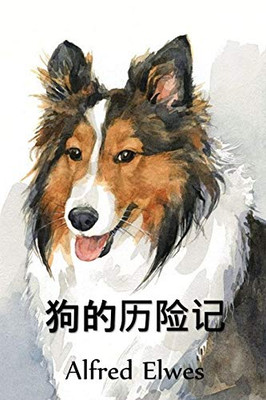 狗的历险记: The Adventures of a Dog, Chinese edition