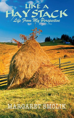 Like A Haystack : Life From My Perspective
