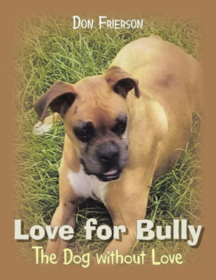 Love For Bully : The Dog Without Love Who Found Love