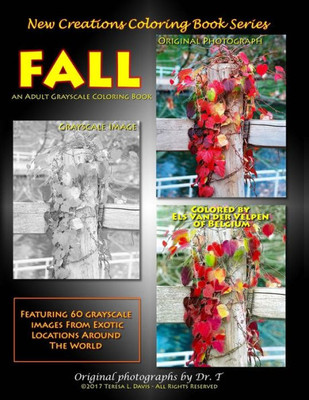 New Creations Coloring Book Series : Fall