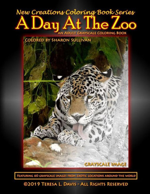 New Creations Coloring Book Series : A Day At The Zoo