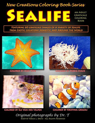 New Creations Coloring Book Series : Sealife